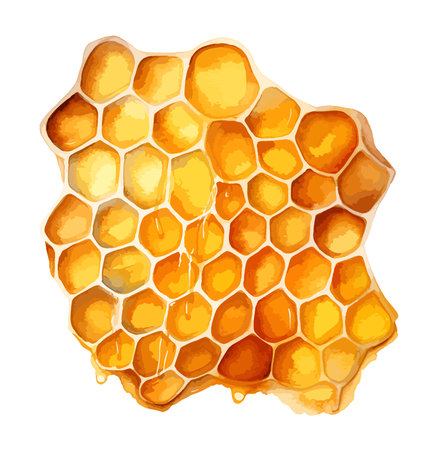 Honeycomb Watercolor Clipart Vectorのイラスト素材