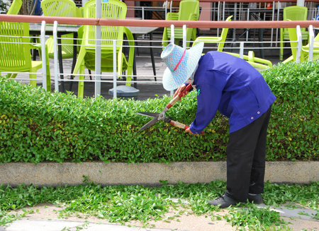 Gardenerのeditorial素材