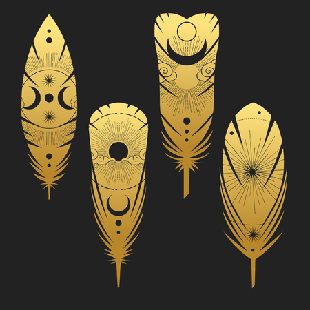 Painted bird feathers. Vector hand drawn illustration in boho style.のイラスト素材