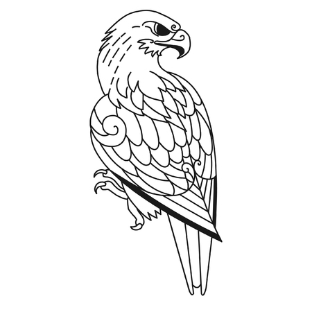 Bird of prey illustration.のイラスト素材