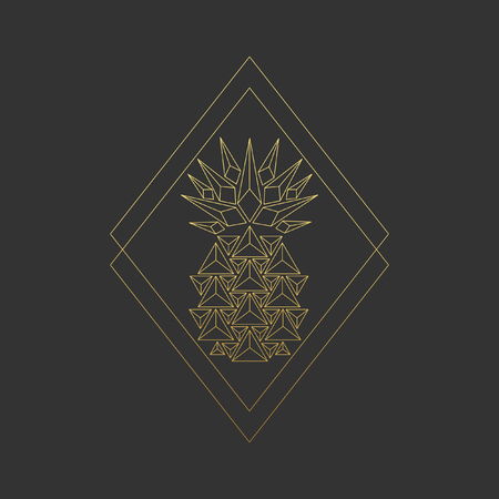 Stylized pineaple on black background. Vector design element for logoのイラスト素材