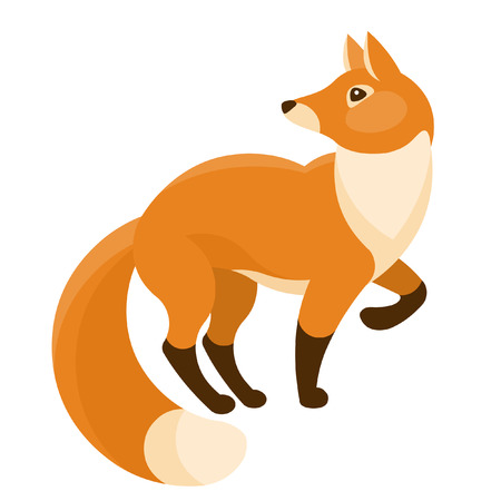 Red fox isolated on white background. Vector illustrationのイラスト素材