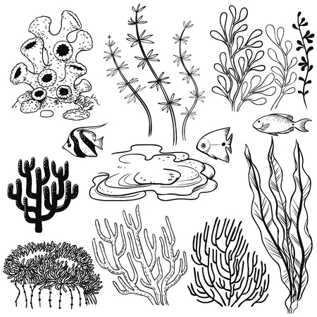 Plants and fish of a coral reef. Vector hand drawn illustrationのイラスト素材