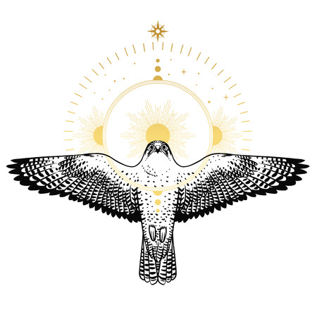 Flying falcon and the halo. Vector hand drawn illustration in boho styleのイラスト素材