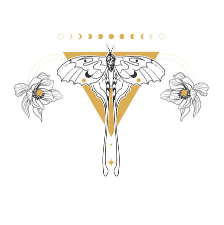 Uterus. Vector hand drawn illustrationのイラスト素材