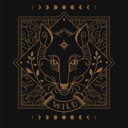 Fox head, herbs, moon phases. Vector illustration in dark boho styleのイラスト素材