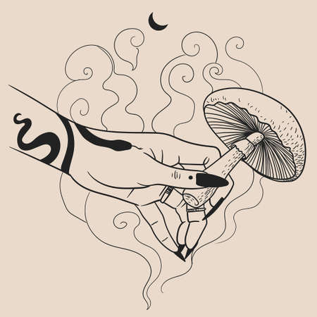 Mushroom in witch's hand. Vector hand drawn illustrationのイラスト素材