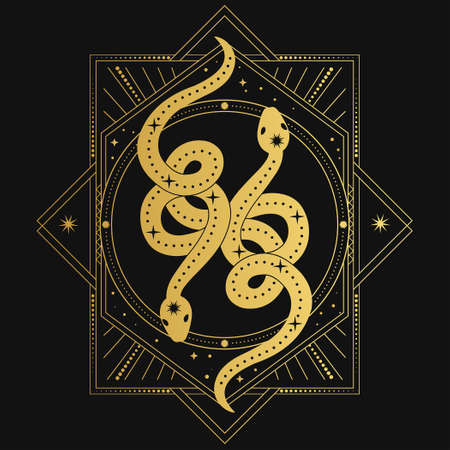 Rectangular frame with stars and two snakes in retro style on a black backgroundのイラスト素材