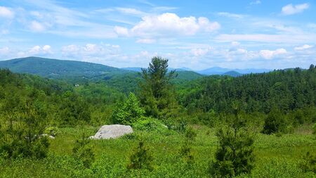 Blue Ridge Appalachian Mountain View Scene with Trees and Bushes, Grass, Sky, Clouds, Rocks, Bouldersの写真素材