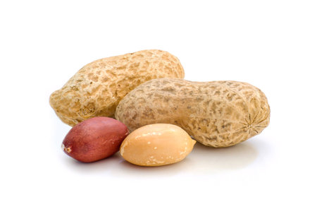 The Dried peanuts on the white background.の写真素材