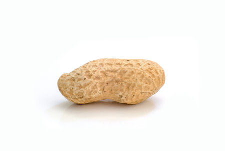 One dried peanut on the white background.