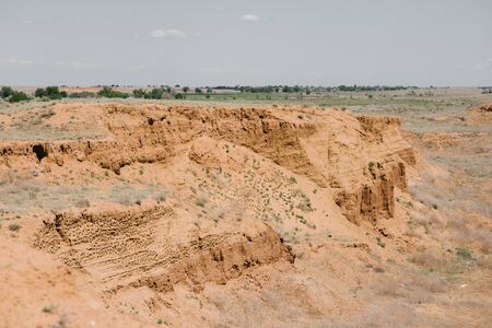 Desert landscape and vegetation in the desert. Plants, sand, rock in the desertの写真素材