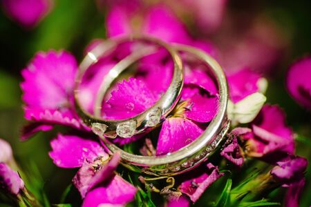 Wedding rings lie on a pink flowerの写真素材