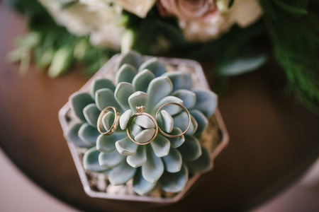 Wedding rings lie on a flower