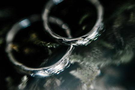 Wedding rings close-up macro shot.Wedding rings bride and groom