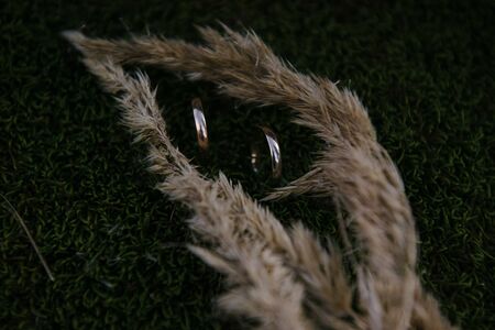 Wedding rings lie on a flowerの写真素材