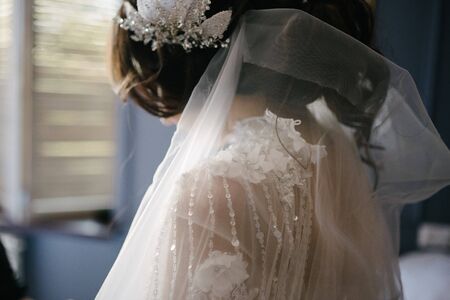 Bride portrait in a wedding dress from the back close upの写真素材