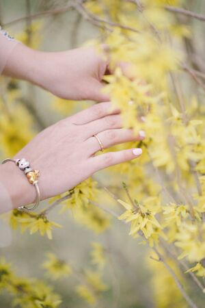 Young beautiful female hands closeup.の写真素材