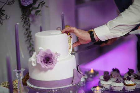 Bride and groom cut the wedding cake