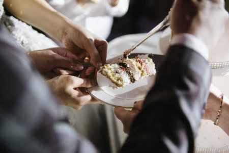 Bride and groom cut the wedding cake