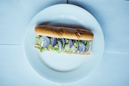 Sandwich with tomatoes, onions and cheese on a plateの写真素材