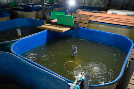 Fish farm for breeding sturgeon.Pool for breeding sturgeon fish.Breeding and raising fish