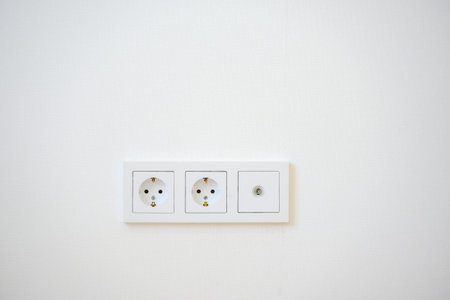 White electrical outlet panel featuring two standard sockets and one coaxial connector mounted on a...