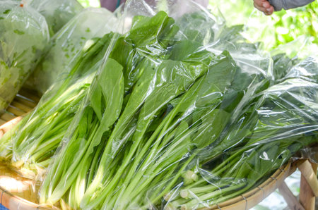 Fresh organic vegetables in plastic bag, Canton or Cantonese
