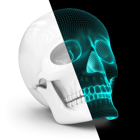 Skullの写真素材