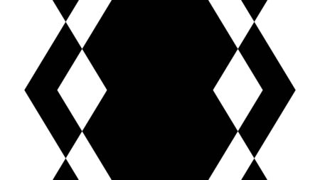 Abstract black and white pattern. Illustration.の写真素材