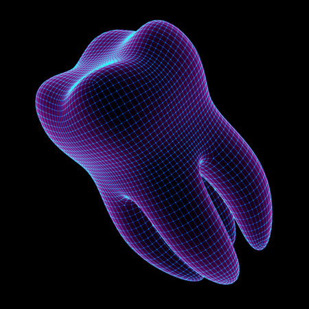 The geometry of the tooth. 3D Illustration.の写真素材