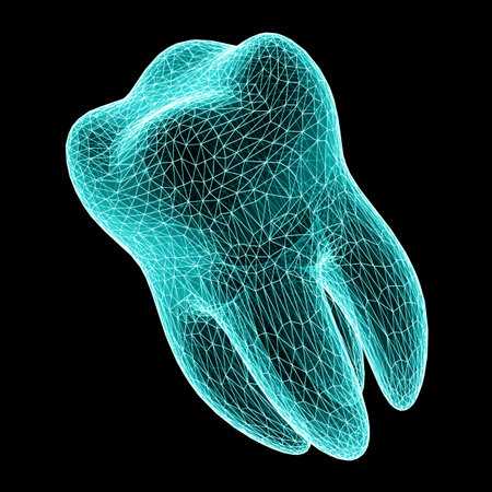 3D mesh of a tooth isolated on black background. 3D illustration.の写真素材