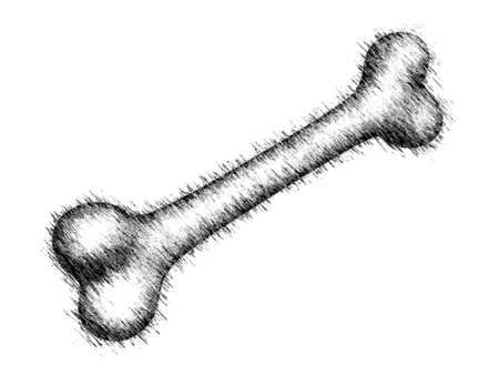 The drawing bone icon isolated on white background. Illustration.の写真素材