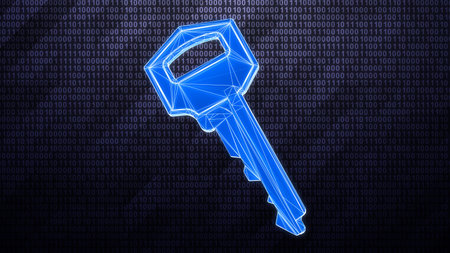 Three-dimensional key icon isolated on binary background. 3D illustration.
