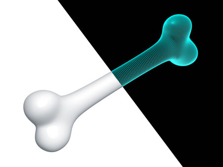 3D wireframe of a human bone isolated on black or white background. 3D illustration.