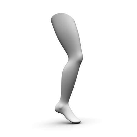 Three-dimensional model of human leg isolated on white background. 3D illustration.の写真素材