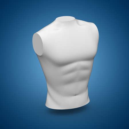Torso isolated on blue background. 3D Illustration.の写真素材
