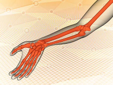 Medical scan of human hand. 3D illustration.の写真素材