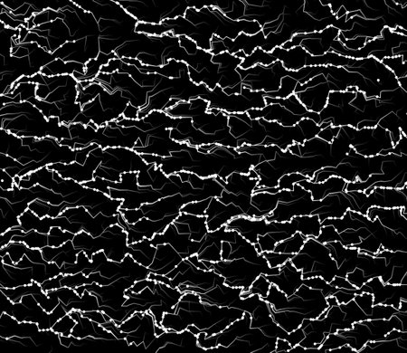 Flowing white particles on black background. Illustration.の写真素材