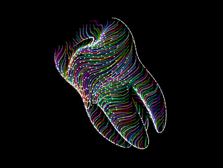 Linear tooth in the black background. Illustration.