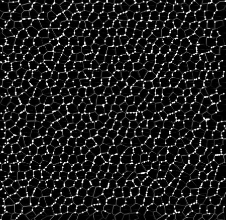 White dots on black background. Illustration.の写真素材