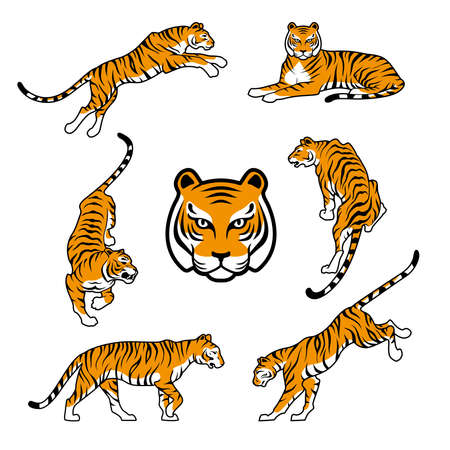 Tiger on white background Happy new year 2022 design vector illustrationのイラスト素材