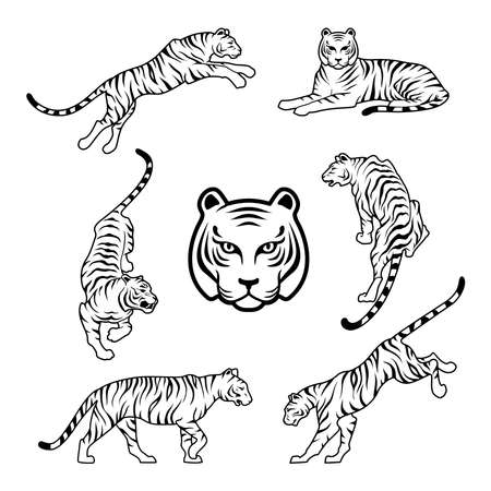 Tiger on white background Happy new year china 2022 design vector illustrationのイラスト素材