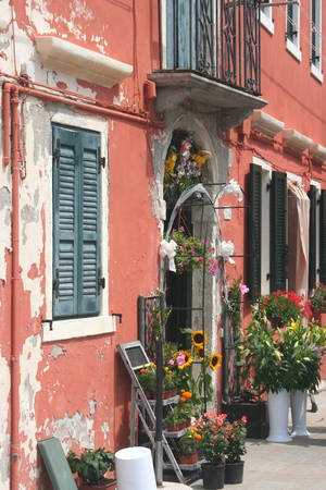 At the Flowershop in Burano, Italyの写真素材