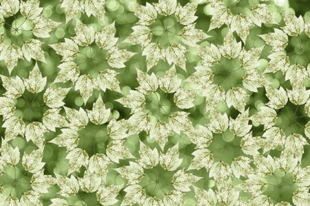 illustrations backgroundの写真素材