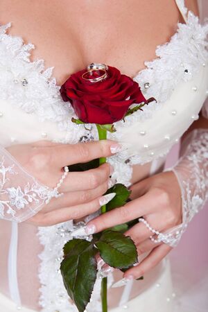 The bride holds in a hand a red rose with wedding rings.の写真素材
