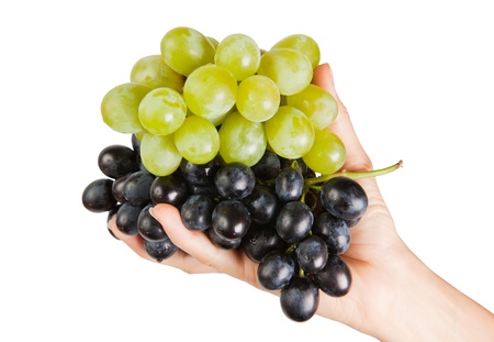Grapes in female palms is isolated on a white backgroundの写真素材