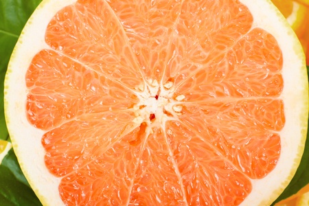 Fresh juicy grapefruits with green leafsの写真素材