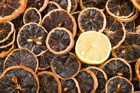Slices of a dried lemon and slice of a fresh lemonの写真素材