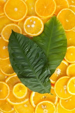Orange fruit and leaf background の写真素材